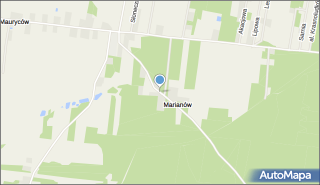 Marianów gmina Wodzierady, Marianów, mapa Marianów gmina Wodzierady