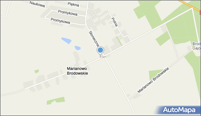 Marianowo Brodowskie, Marianowo Brodowskie, mapa Marianowo Brodowskie
