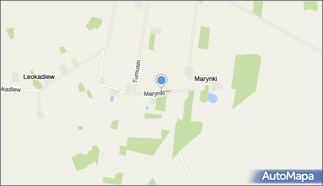 Marynki gmina Poddębice, Marynki, mapa Marynki gmina Poddębice