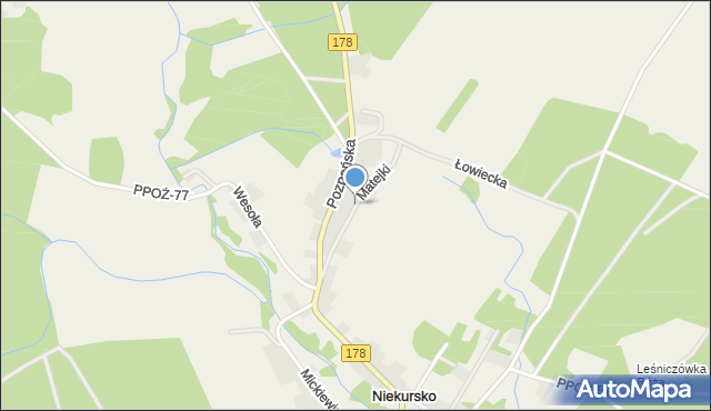 Niekursko, Matejki Jana, mapa Niekursko