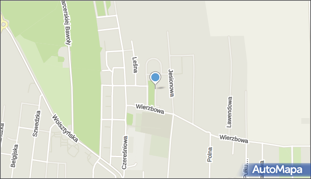 Wschowa, Magnoliowa, mapa Wschowa