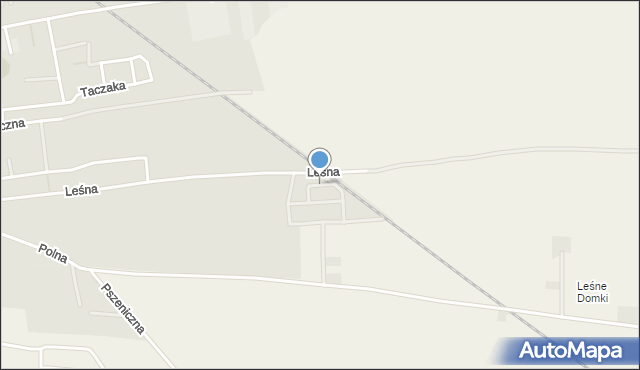 Zbąszyń, Marchewkowa, mapa Zbąszyń