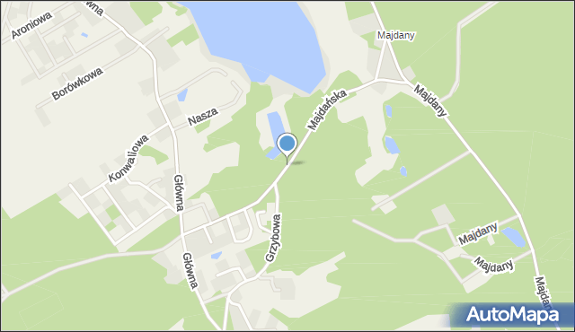 Zwola gmina Zaniemyśl, Majdańska, mapa Zwola gmina Zaniemyśl