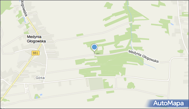Medynia Głogowska, Medynia Głogowska, mapa Medynia Głogowska