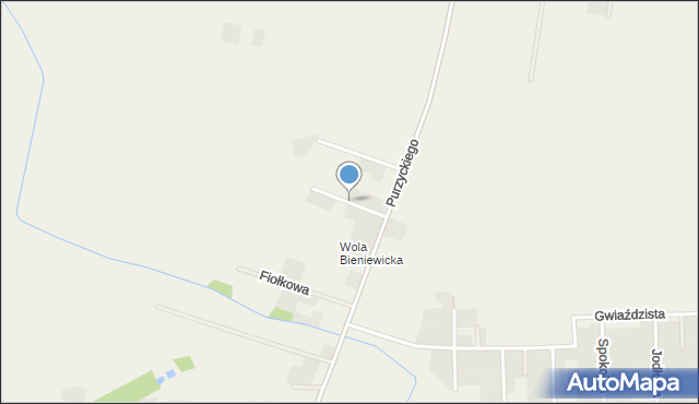 Bieniewice, Miodowa, mapa Bieniewice