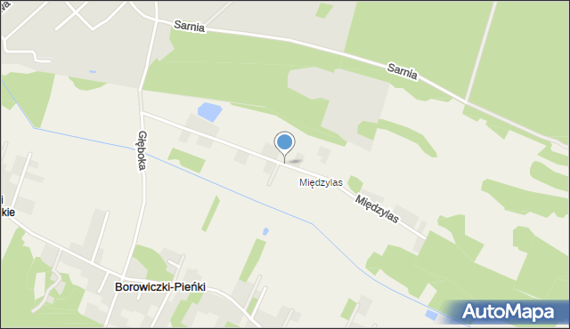 Borowiczki-Pieńki, Międzylas, mapa Borowiczki-Pieńki