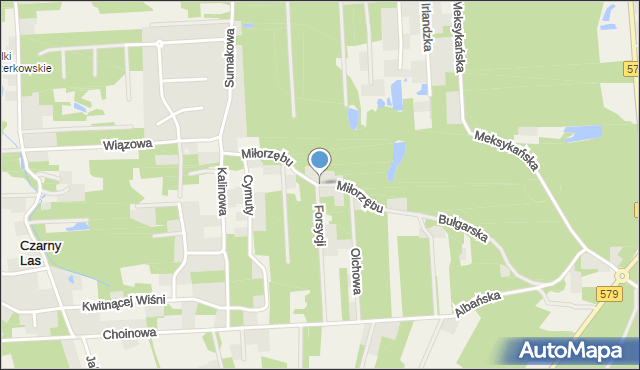 Czarny Las gmina Grodzisk Mazowiecki, Miłorzębu, mapa Czarny Las gmina Grodzisk Mazowiecki