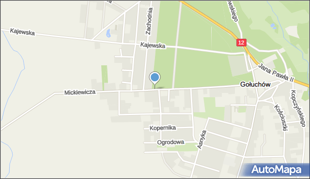Gołuchów powiat pleszewski, Mickiewicza Adama, mapa Gołuchów powiat pleszewski