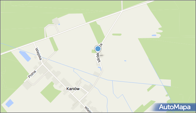 Kaniów gmina Popielów, Mickiewicza Adama, mapa Kaniów gmina Popielów