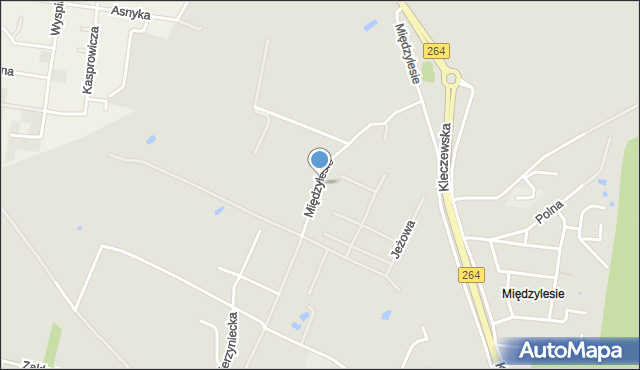 Konin, Międzylesie, mapa Konina