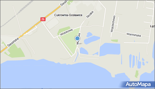 Konin, Miodowa, mapa Konina