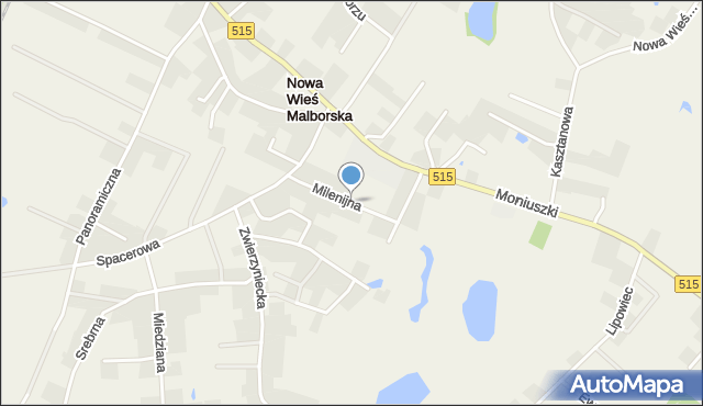 Nowa Wieś Malborska, Milenijna, mapa Nowa Wieś Malborska