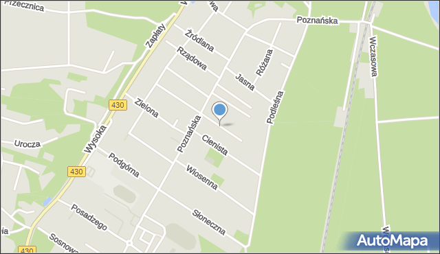 Puszczykowo powiat poznański, Miodowa, mapa Puszczykowo powiat poznański