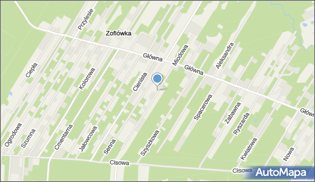 Zofiówka gmina Tuszyn, Miodowa, mapa Zofiówka gmina Tuszyn