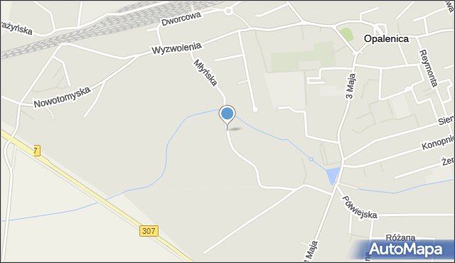 Opalenica powiat nowotomyski, Młyńska, mapa Opalenica powiat nowotomyski