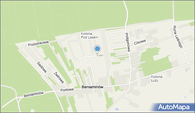 Beniaminów gmina Nieporęt, Modrzewiowa, mapa Beniaminów gmina Nieporęt