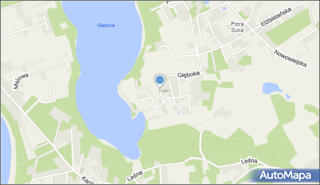 Borkowo gmina Żukowo, Modrzewiowa, mapa Borkowo gmina Żukowo