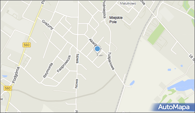 Brodnica, Modrzewiowa, mapa Brodnica