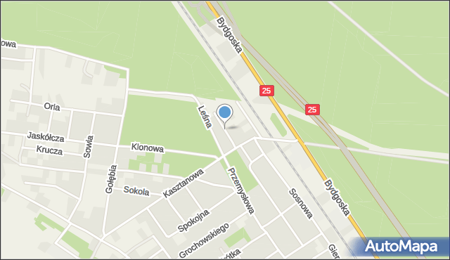 Brzoza gmina Nowa Wieś Wielka, Morska, mapa Brzoza gmina Nowa Wieś Wielka