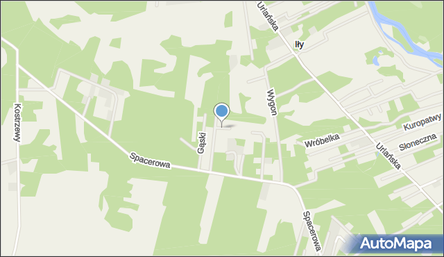 Iły gmina Jadów, Modrzewiowa, mapa Iły gmina Jadów
