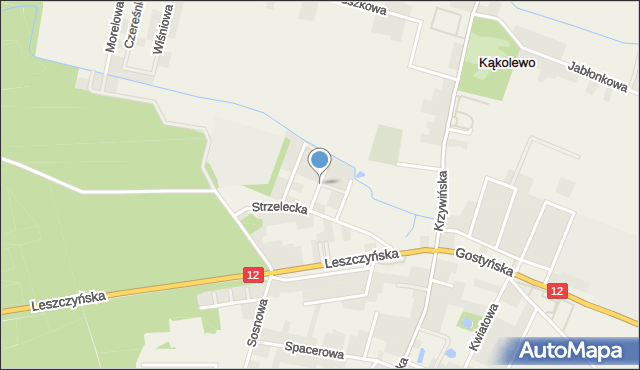 Kąkolewo gmina Osieczna, Modrzewiowa, mapa Kąkolewo gmina Osieczna