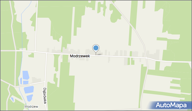 Modrzewek gmina Opoczno, Modrzewek, mapa Modrzewek gmina Opoczno