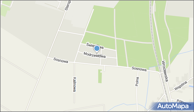 Ostrów Wielkopolski, Modrzewiowa, mapa Ostrów Wielkopolski