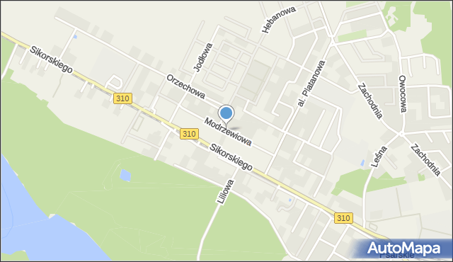 Psarskie gmina Śrem, Modrzewiowa, mapa Psarskie gmina Śrem