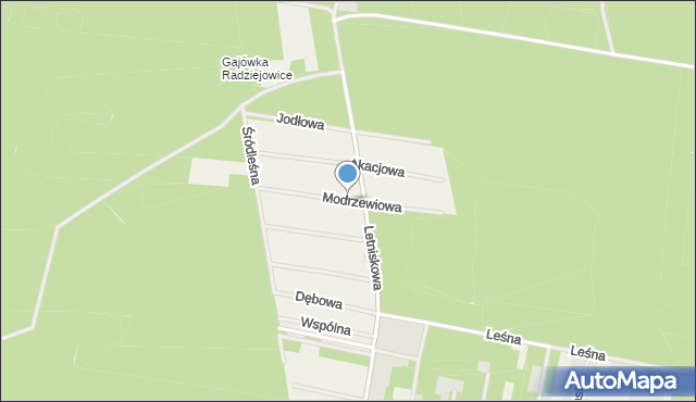 Tartak Brzózki, Modrzewiowa, mapa Tartak Brzózki