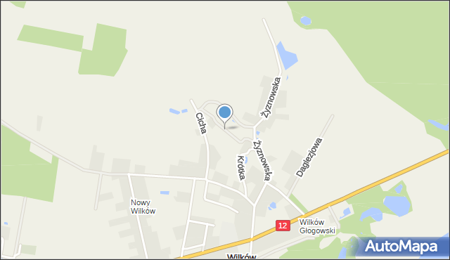 Wilków gmina Głogów, Myśliwska, mapa Wilków gmina Głogów