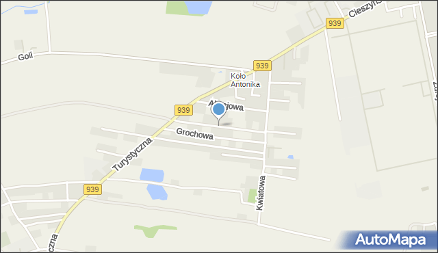 Łąka gmina Pszczyna, Nagietków, mapa Łąka gmina Pszczyna