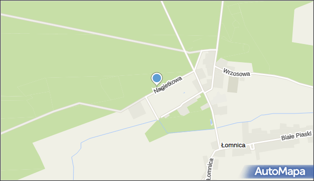 Łomnica gmina Zbąszyń, Nagietkowa, mapa Łomnica gmina Zbąszyń