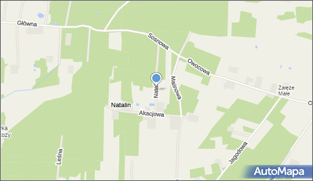 Natalin gmina Pniewy, Natalin, mapa Natalin gmina Pniewy