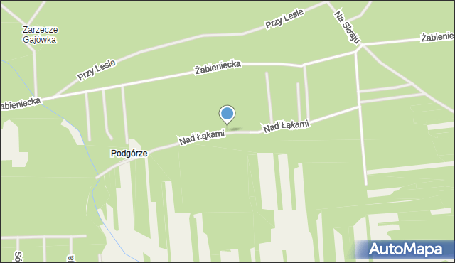 Nowy Żabieniec, Nad Łąkami, mapa Nowy Żabieniec