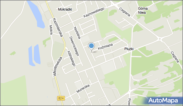 Puławy, Naruszewicza Adama, mapa Puław