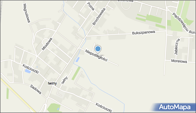 Iwiny gmina Siechnice, Niepodległości, mapa Iwiny gmina Siechnice