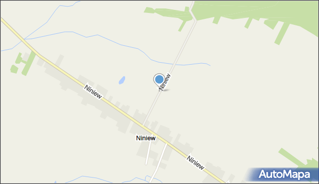 Niniew, Niniew, mapa Niniew