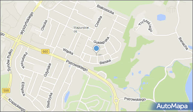 Olsztyn, Niborska, mapa Olsztyna