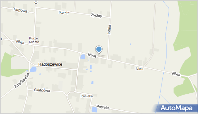 Radoszewice gmina Siemkowice, Niwa, mapa Radoszewice gmina Siemkowice