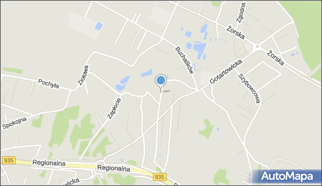 Rybnik, Niska, mapa Rybnika