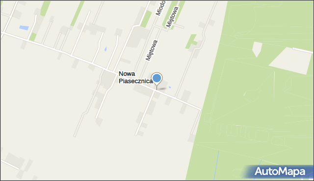 Nowa Piasecznica, Nowa Piasecznica, mapa Nowa Piasecznica