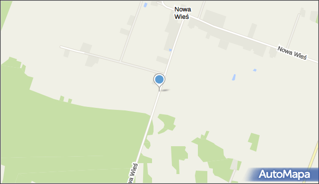 Nowa Wieś gmina Poddębice, Nowa Wieś, mapa Nowa Wieś gmina Poddębice