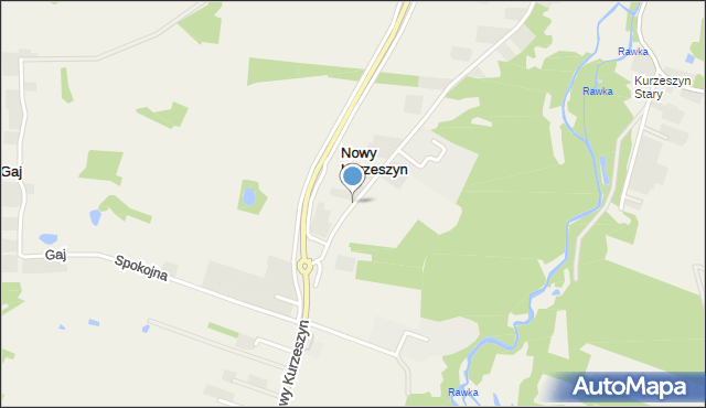 Nowy Kurzeszyn, Nowy Kurzeszyn, mapa Nowy Kurzeszyn