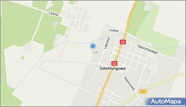 Szlichtyngowa, Nowopolna, mapa Szlichtyngowa