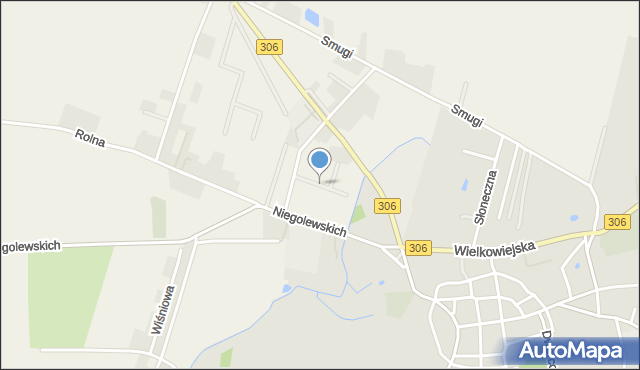 Wielka Wieś gmina Buk, Nowa, mapa Wielka Wieś gmina Buk