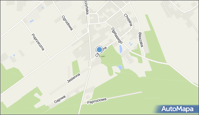 Włoszakowice, Nowowiejskiego Feliksa, mapa Włoszakowice