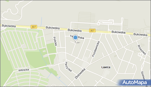 Poznań, Odrzycka, mapa Poznania