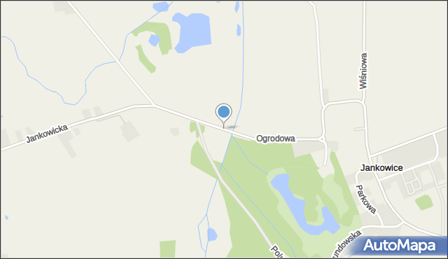Jankowice gmina Tarnowo Podgórne, Ogrodowa, mapa Jankowice gmina Tarnowo Podgórne