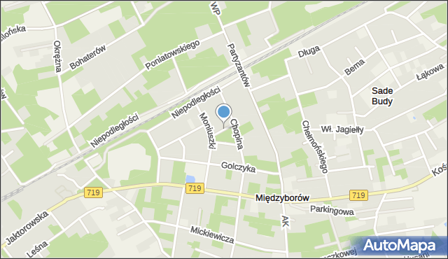 Międzyborów, Ogińskiego Michała Kleofasa, mapa Międzyborów