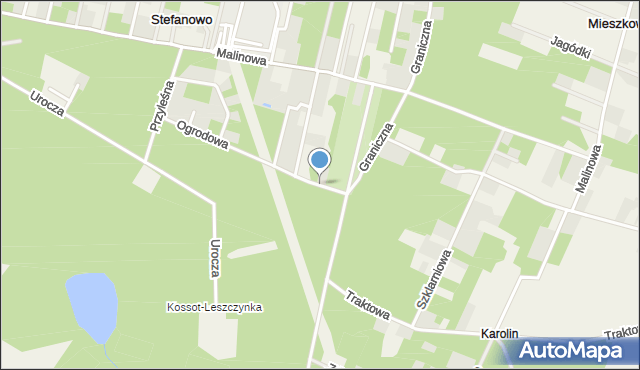 Warszawianka, Ogrodowa, mapa Warszawianka